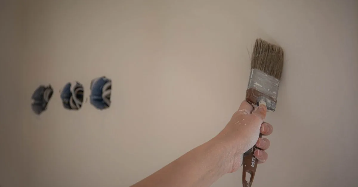 Black Mould on Walls in Delhi: Why It Keeps Coming Back