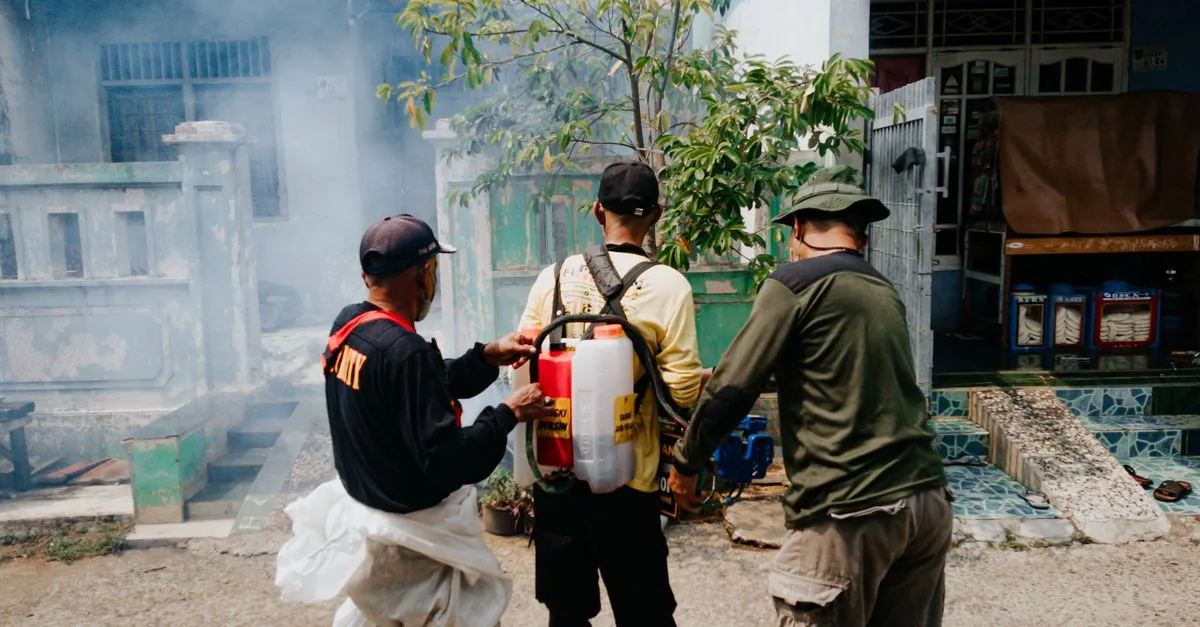 How to Prepare for a Pest Control Visit in Delhi