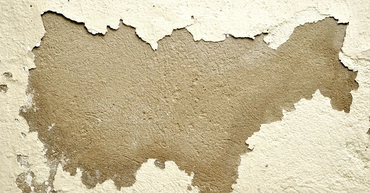 Why Is My Paint Cracking? Crazing, Hairline Cracks and Crocodile Skin