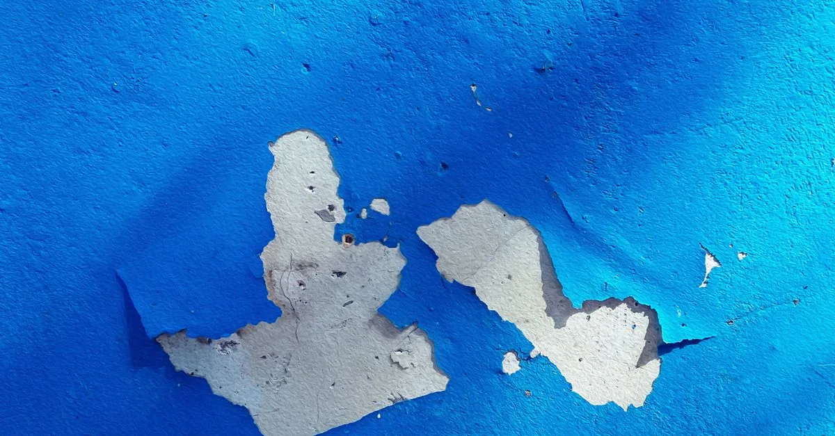 Paint Peeling Off Your Walls in Delhi? Find the Real Cause