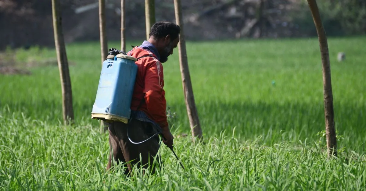 Termite Treatment Cost in Delhi NCR (2026)