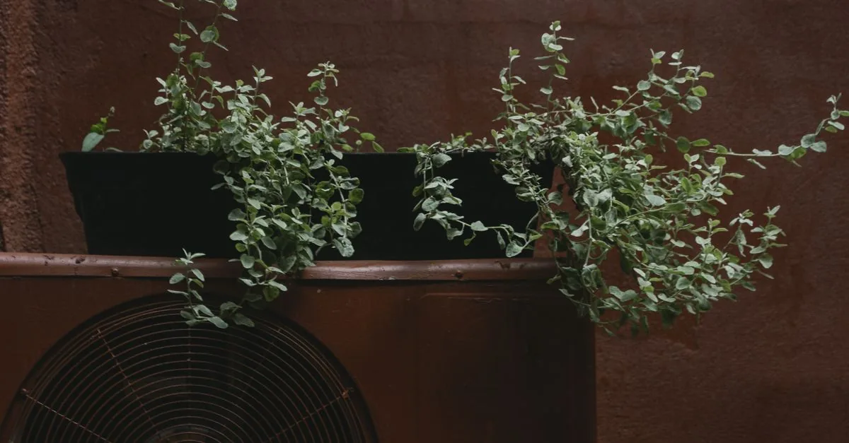 Why Is My Washing Machine Leaving Marks on My Clothes? (Delhi, 2026)